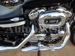     Harley Davidson XL1200L-I Sportster1200 2011  16